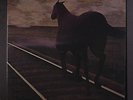 BRUCE COCKBURN: Night Vision LP (Canada, gatefold, inner, insert, yellow wax)