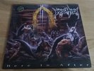 Lp - Immolation - Here In After, NOTVD