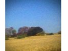 Sun Kil Moon Benji 2xLP vinyl red colored record sealed limited edition 2014