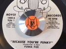 RARE funk   FUNKA FIZE   Because You're Funky   ROYCE