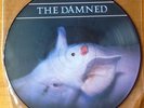 THE DAMNED Strawberries RARE 1986 ORIGINAL UK PICTURE DISC LP DOJOPD46