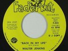 70s Soul 45 - Walter Jenkins - Back In My Life - Fader Kat - VG+ mp3 - promo