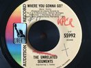 RARE GARAGE ROCK THE UNRELATED SEGMENTS Where You Gonna Go? LIBERTY 45 HEAR