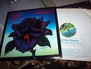 THIN LIZZY - BLACK ROSE - UK ROCK LP 1979 VERTIGO 1st PRESS EX+