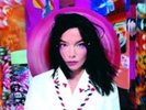 Bjork-Post  (US IMPORT)  Vinyl / 12