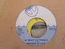 INTREPID 45 RECORD/BROTHERS OF LOVE/MY HEART'S IN TROUBLE/I,YOU WE northern soul