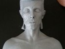 David Bowie Aladdin Sane plastic model