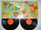 THE BEACH BOYS - Endless Summer - Double Vinyl Album 1974