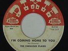 Northern Soul Garage 45 - Fabulous Plaids - I'm Coming Home To You - Dixie - mp3