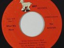 Sweet Soul 45 - Arterials - What We Have - Mary - mp3