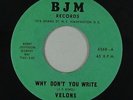 Sweet Soul 45 - Velons - Why Don't You Write - BJM - VG++ mp3