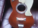 ELVIS 1956 SELCOL GUITAR