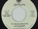 Modern Soul Boogie 45 - Leo & Sherry - My Everything - Barbara Jean - VG++ rare