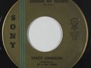 Northern Soul 45 - Stacy Johnson - Remove My Doubts - Sony - VG++ mp3