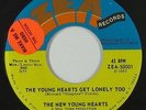 Sweet Soul 45 - New Young Hearts - Young Hearts Get Lonely Too - Zea - VG++ mp3
