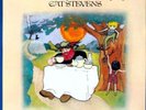 Cat Stevens-Tea For The Tillerman  VINYL NUEVO