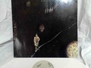 LP  – RENAISSANCE / ILLUSION / WHITE VINYL /  NM