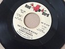 Sidney Barnes - Rare Northern Soul 