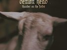 Thunder On The Fields - Demon Head 7340148110692 (Vinyl Used Very Good)