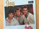 HELLO - JOY / LP VINYL 12