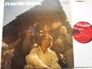 *FLOATING BRIDGE S/T Ex USA 1969 1st Press VAULT SLP-124 GARAGE PSYCH ACID LP