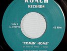 HEAR IT 60's Wis. Psychedelic Garage 45 rpm record The Burlington Express 1960's