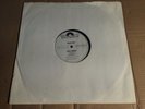 RARE BIRD - EPIC FOREST - LP - GERMANY 1972 - WEISSMUSTER MUSTERPLATTE PROMO