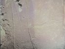 Brian Eno With Daniel Lani is & Roger Eno - Apollo - Original LP