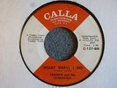 NORTHERN SOUL 45 Frankie and the Classicals What Shall I Do Calla 127  HEAR MP3