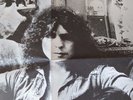 T.REX - Marc Bolan - Electric Warrior- Vinyl - includes inner sleeve and poster