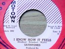 SATINTONES I KNOW HOW IT FEELS PINK STRIPED LABEL