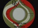 R&B Mod Inst. 45 - Embraceables - Watermelon Man - Deblyn - mp3