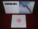 FREE Free LP 1969 PINK ISLAND 1st Press  EARLIEST EVER  TEXTURED LABELS