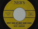 R&B/Deep Soul 45 - Ruby Johnson - What Goes Up Must Come Down - Neb's - mp3