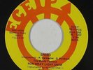 Psych Fuzz 45 - Ron Wray Light Show - Speed - ECEIP - VG+ mp3
