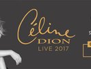 Céline Dion Lille 2 juillet 2 billets catégorie 1 - 50%