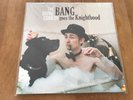 DIVINE COMEDY Bang Goes The Knighthood 12