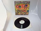 THE SAVAGE RESURRECTION *THE SAVAGE RESURRECTION* RARE 1968 USA VINYL PROMO LP