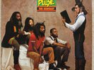Vinyl LP - Steel Pulse - True Democracy