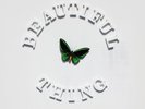 The Stone Roses Beautiful Thing Vinyl (New)