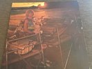 Bobby Brown - The Enlightening Beam Of Axonda * 1972 Destiny Private Psych LP NM