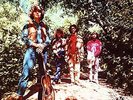/24066457/ Creedence Clearwater Revival - Green River [1  x  LP Vinilo]