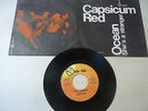 CAPSICUM RED(POOH)