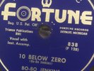 DETROIT BLUES Bo Bo Jenkins FORTUNE 838 Nine Below Zero /Dont You want to Go E+