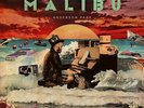 Anderson. Paak - Malibu (Vinyl) (B-Ware) Vinyl LP (2) Steel Wool Entertainm NEW