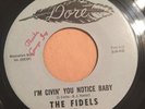 THE FIDELS   I'm Givin You Notice Baby   DORE 761   Rare Orig. '66 Northern Soul