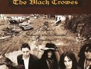 BLACK CROWES   THE SOUTHERN HARMONY...   2 x 180gsm VINYL LP   MP3   NEW/SEALED