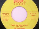 THE COMPANIONS Why Oh Baby bw I Didn't Know 45 BROOK'S 101 EX VG++ DOO-WOP