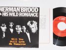 HERMAN BROOD & HIS WILD ROMANCE -Will You..- 7