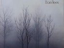 Fleetwood Mac Bare Trees LP Vinyl Record